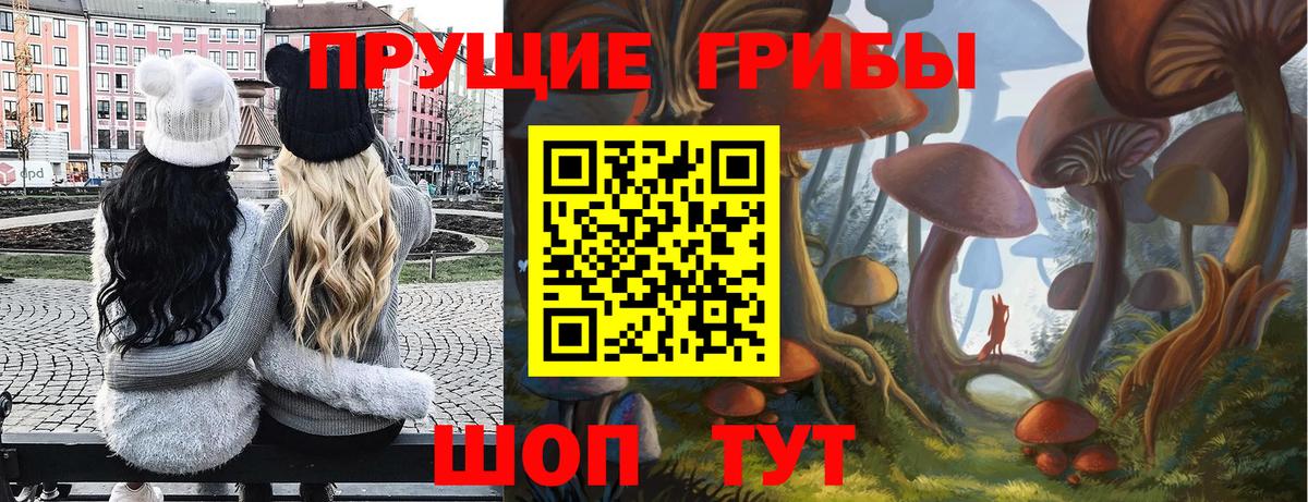 Вышний Волочёк  Галлюциногенные грибы MAGIC MUSHROOMS  Вход с VPN 